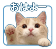 847314089