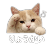 847314094
