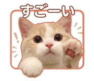 847314099