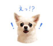 847314527