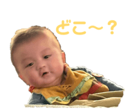 847314595
