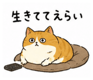 847314675