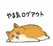 847314677