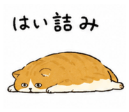 847314679