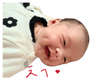 847315586