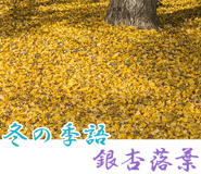847319123