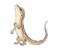 847320172