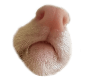 847323143