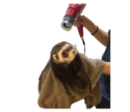 847323148