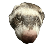 847323150