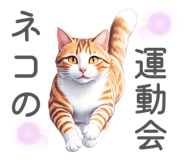 847323232