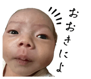 847323233