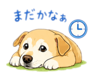 847323300