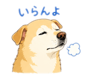 847323302