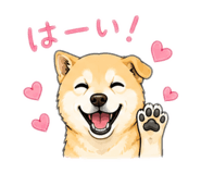 847323305