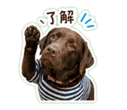 847324115