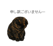 847324517