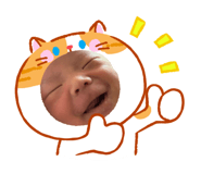 847326954
