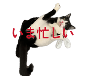 847327257