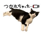 847327262
