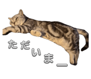 847327958