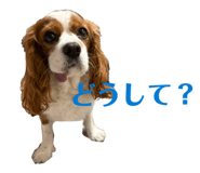 847328161