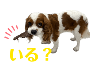 847328166
