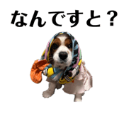 847328171