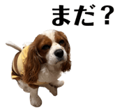 847328174