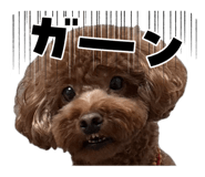 847328220