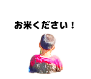 847328664