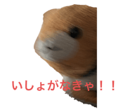 847328969