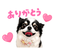 847329777