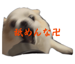847331219