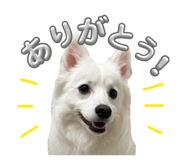 847332820