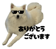 847332821