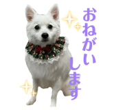 847332822
