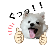 847332825