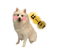 847332836