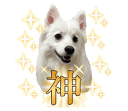 847332844
