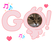 847340098