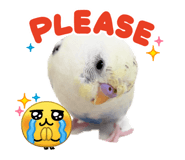 847340110