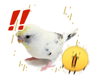 847340112