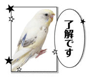 847340116