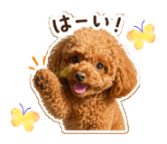 847341230