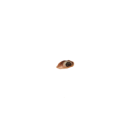 847341261