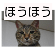 847341573