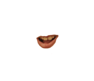 847341599