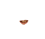 847341602