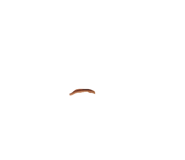847341604